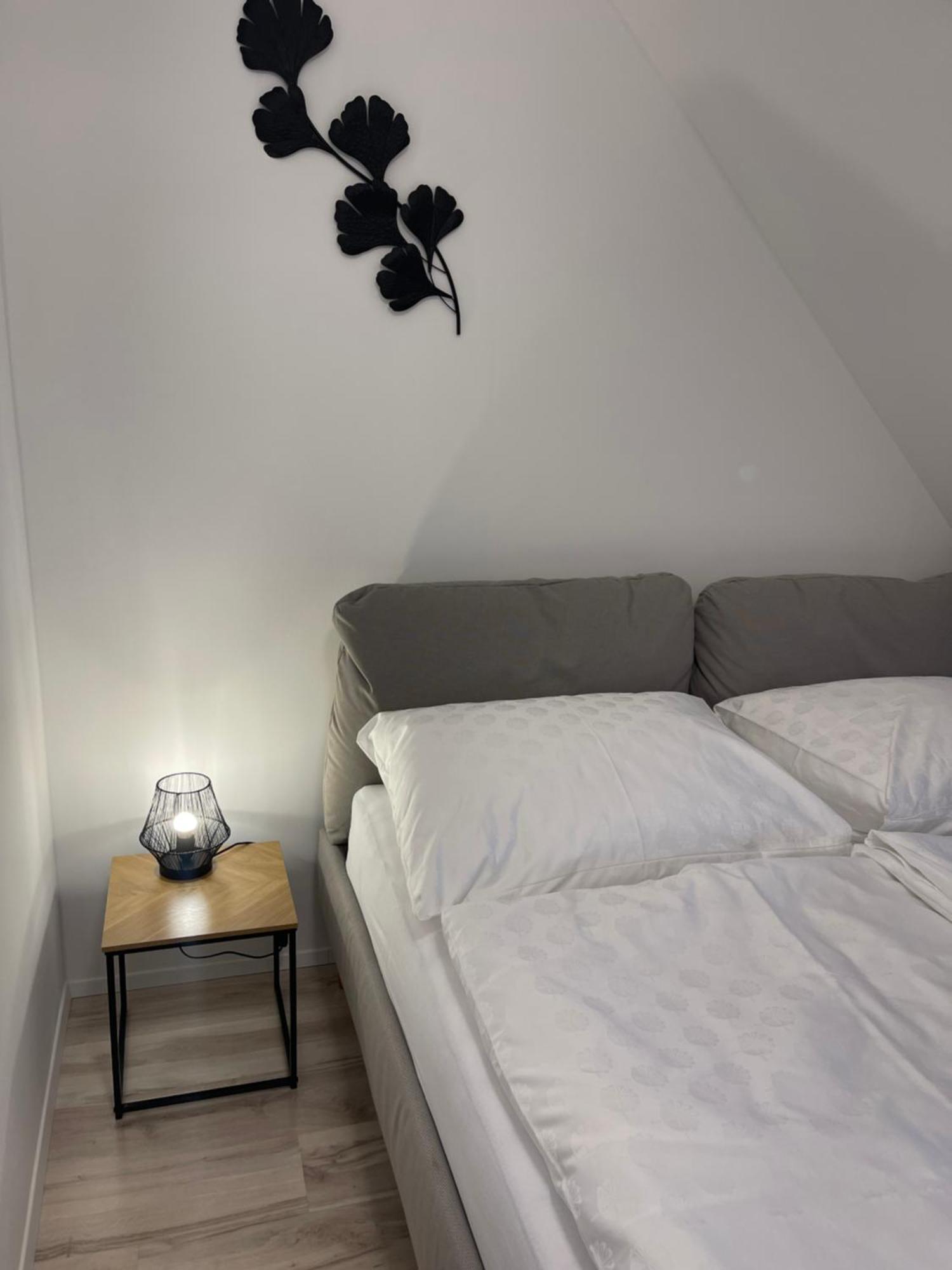 Apartmanovy Dum Jansky Sen Janské Lázně Eksteriør bilde